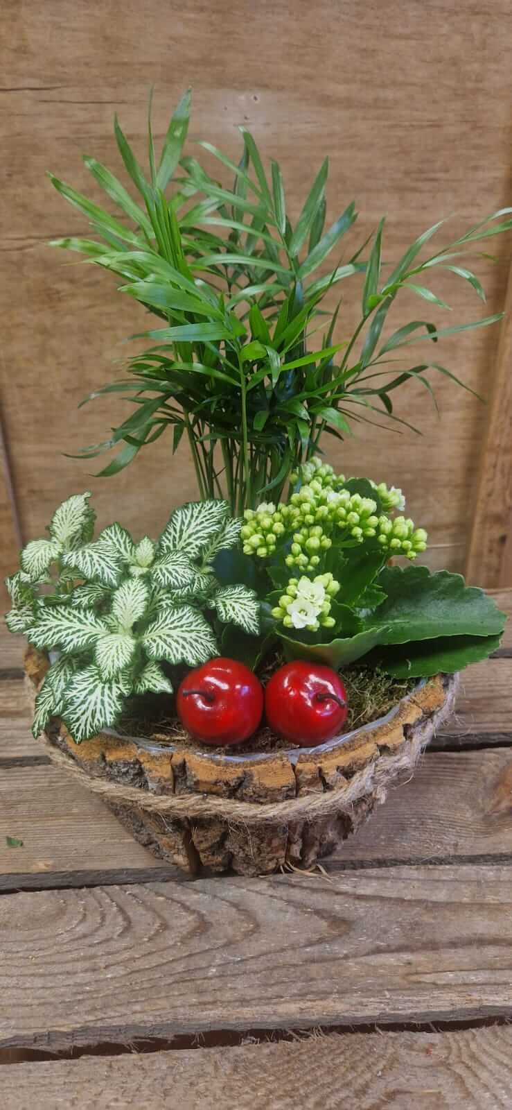 Christmas flowers and pine cones